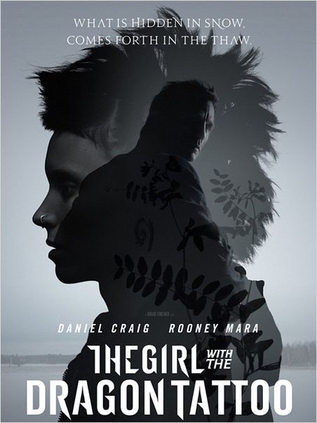 Millenium : Les hommes qui n’aimaient pas les femmes : affiche