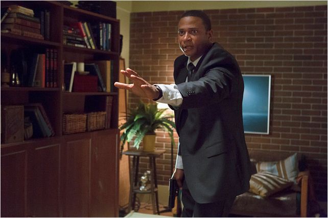 Arrow : photo David Ramsey