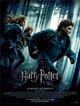 Affiche - FILM - Harry Potter et les reliques de la mort - partie 1 : 126693