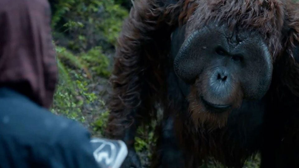 La Planete Des Singe 2 Film Complet Vf Extrait du film La Planète des singes : l'affrontement - La Planète des