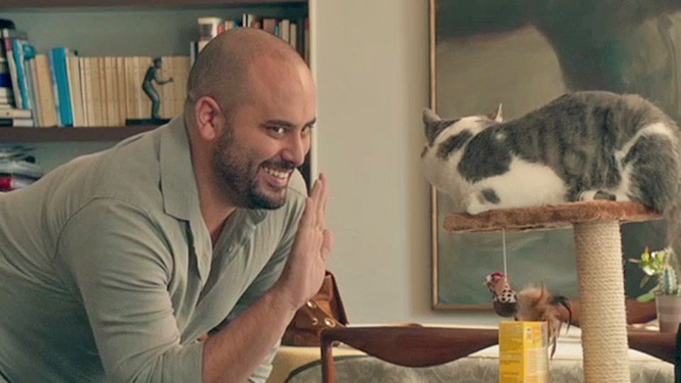 chat brive la gaillarde