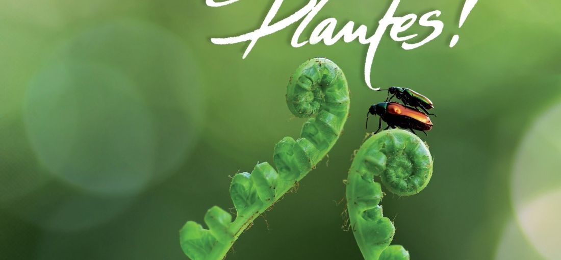 Photo du film Incroyables Plantes