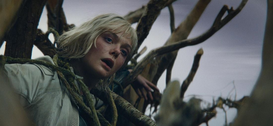 Photo du film Predator: Badlands