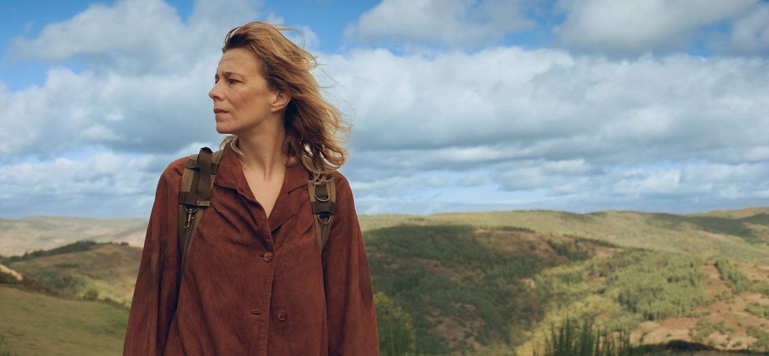 Photo du film Sauvage