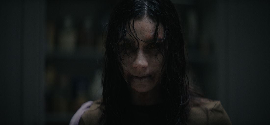 Photo du film Evil Dead Burn