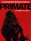 Primate