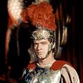 Photo Stephen Boyd