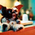 Photo Joe Dante