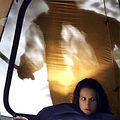 Photo America Olivo
