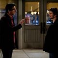 Photo Ray Romano
