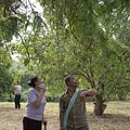Photo Apichatpong Weerasethakul