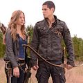 Photo JD Pardo