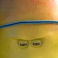 Photo Mangue Debol
