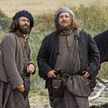 Photo Stephen Walters