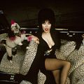 Photo Cassandra Peterson