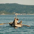 Photo Deniz Orta