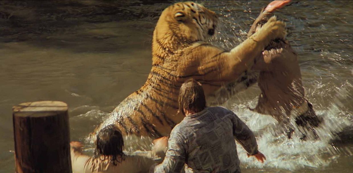 Photo 2 pour Roar