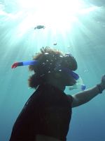 poster de Titouan, les enfants du corail