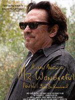 poster de Mr. Wonderful