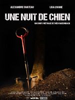 poster de Une nuit de chien