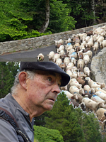 poster de Bergers d'Aure : La transhumance en  héritage