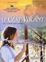poster de Le Cerf-volant