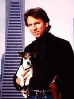 poster de Un flic à tout faire