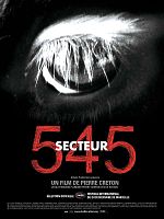 poster de Secteur 545
