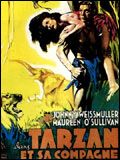 poster de Tarzan et sa compagne