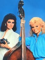 poster de Partners in Crime