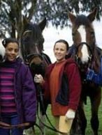 image de Grand galop