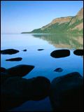 poster de Les Grands Lacs américains : espèces menacées