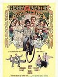 poster de Deux farfelus à New York