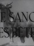 poster de Le Sang des bêtes