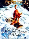 poster de L'Incroyable Voyage