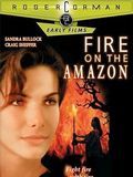 poster de Fire on the Amazon