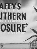 poster de Daffy's Southern Exposure