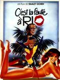 poster de C'est La faute à Rio