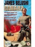 poster de Sahara