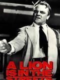poster de Un lion dans les rues
