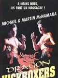 poster de Dragon Kickboxers