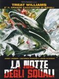 poster de La Nuit Des Requins