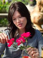 poster de Love Weeding Mariage