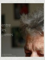 poster de Entre les pierres