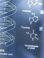 poster de Pandemic