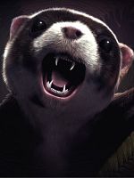 poster de Le Taxidermiste