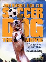 poster de Soccer Dog