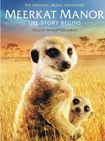 poster de Le Clan des suricates, l'aventure commence