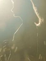 poster de Lightfields