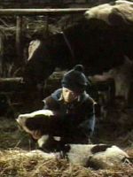 poster de (A) Torzija